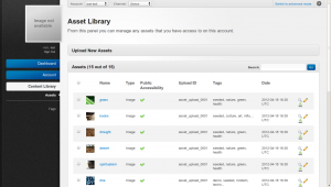Mobile Seeded Admin Panel - Asset Library.png